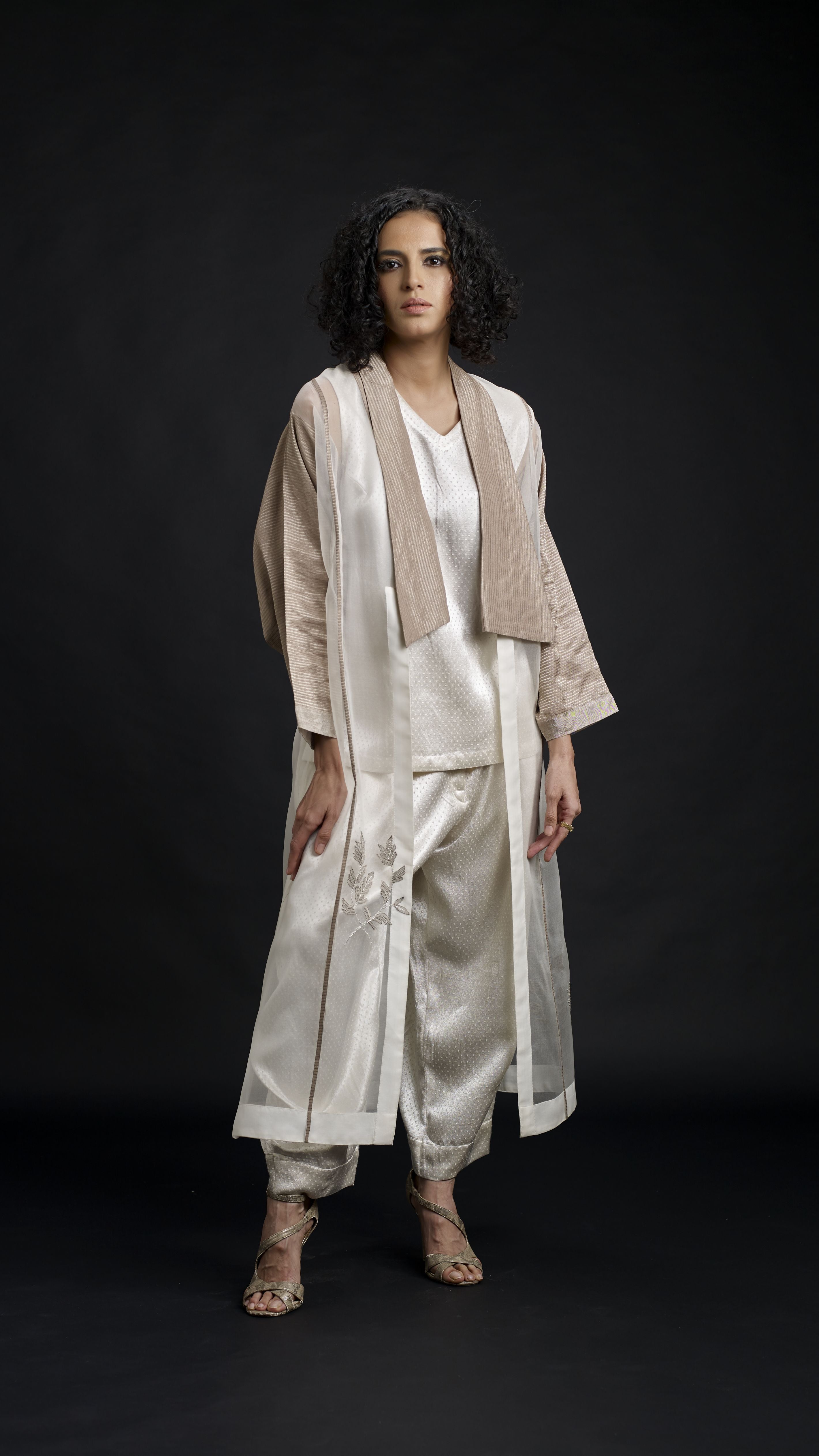 Zari And Mushru Jacket Set