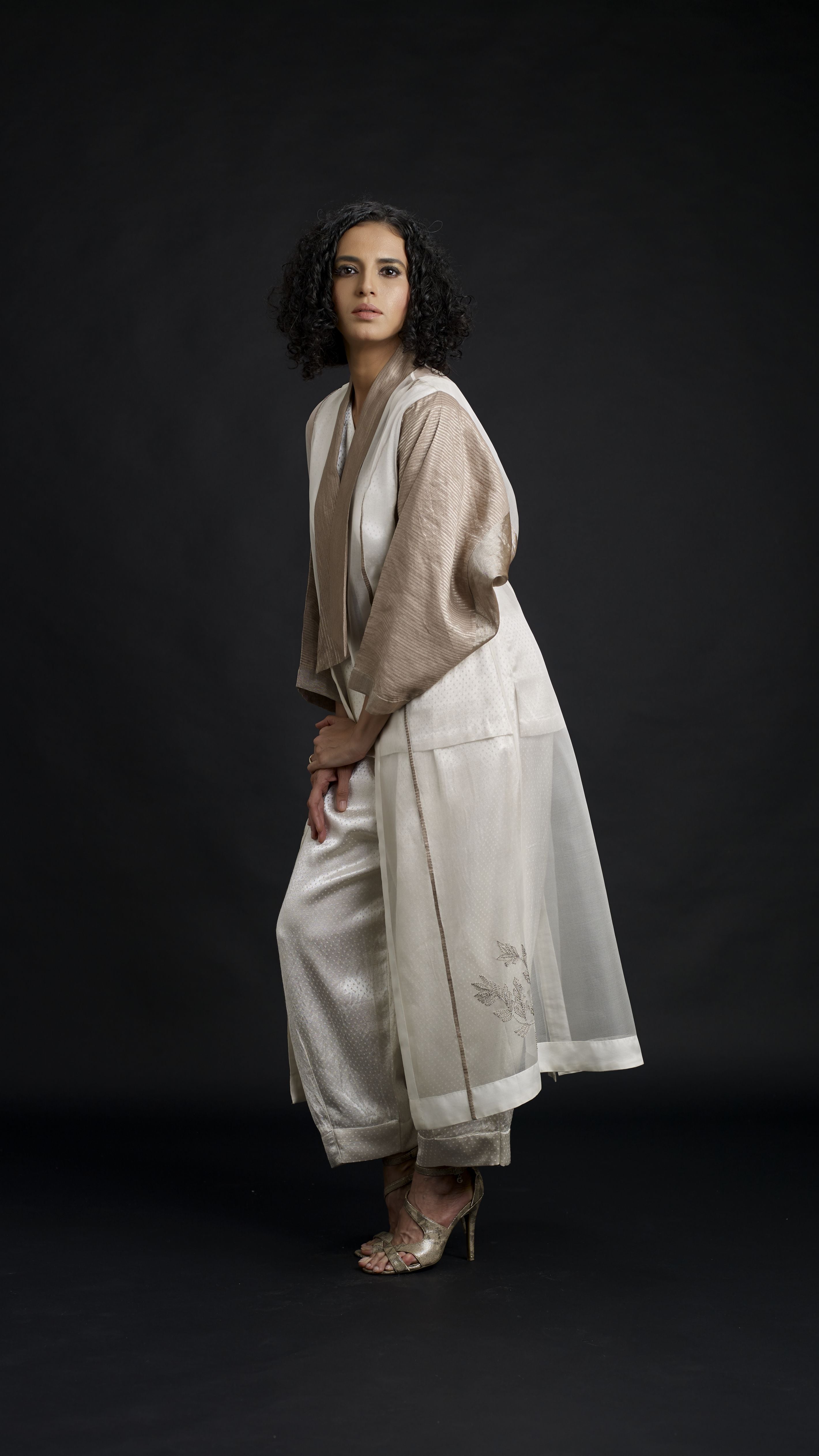 Zari And Mushru Jacket Set