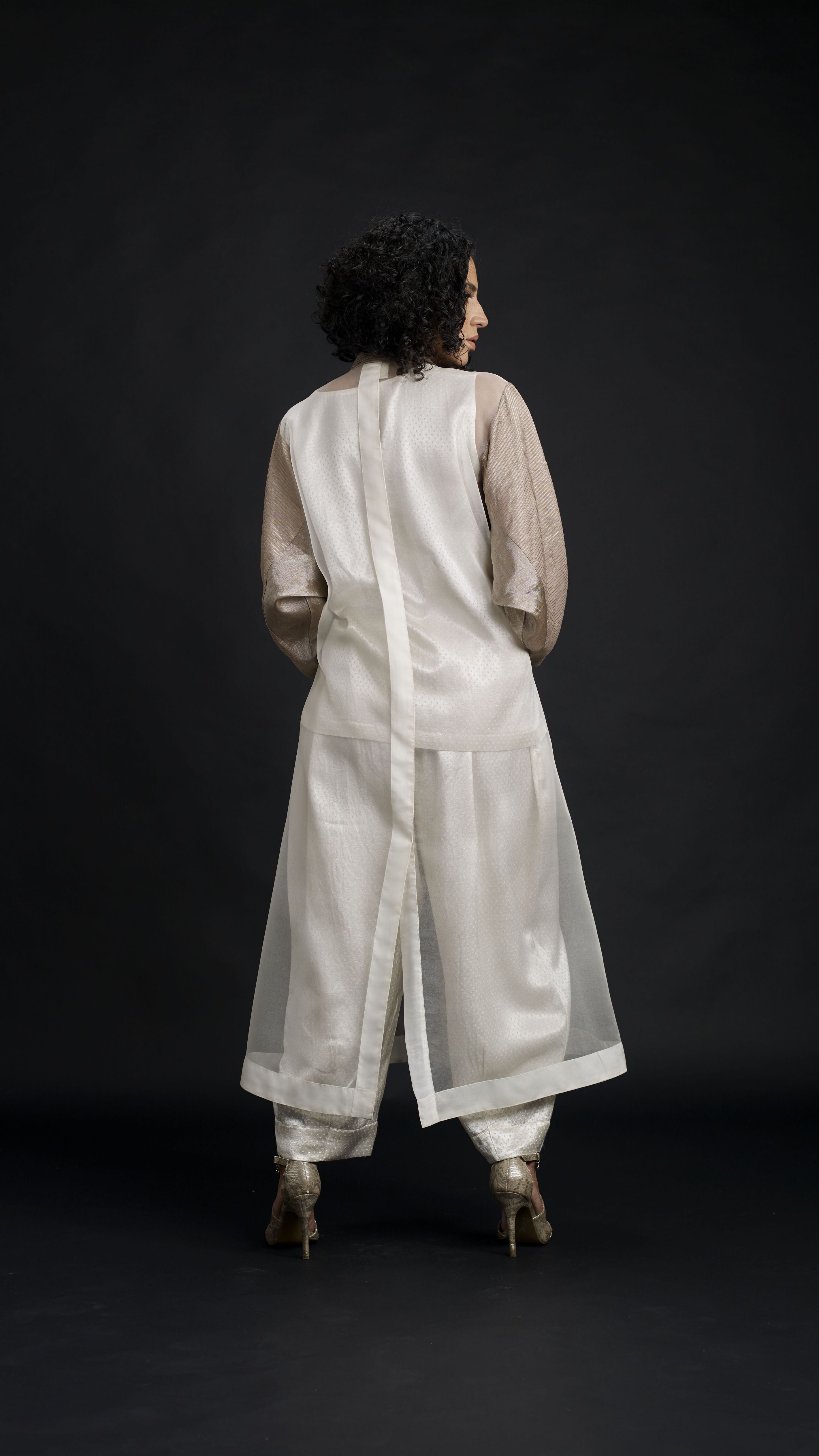 Zari And Mushru Jacket Set