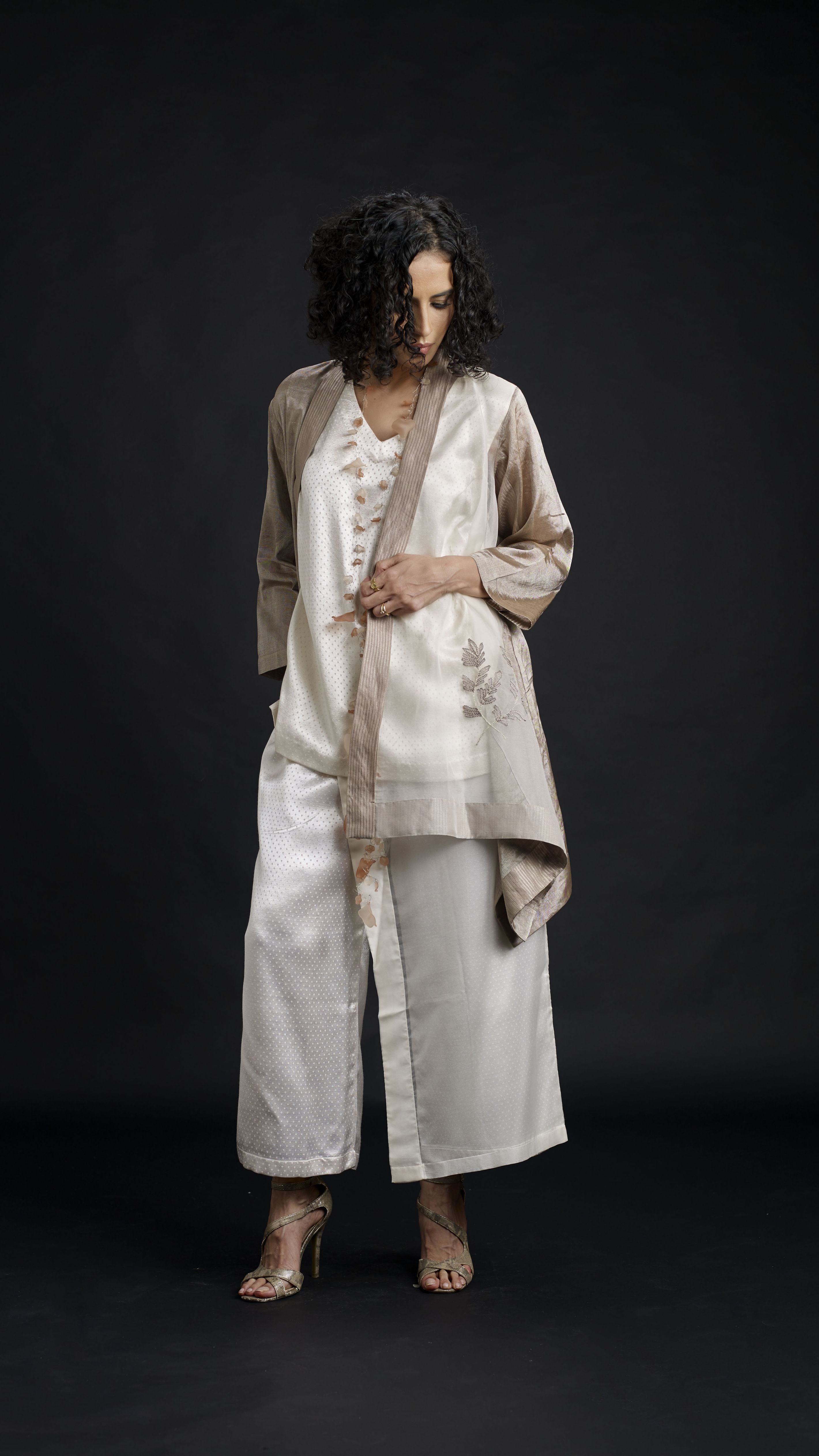 Zari And Mushru Jacket Set