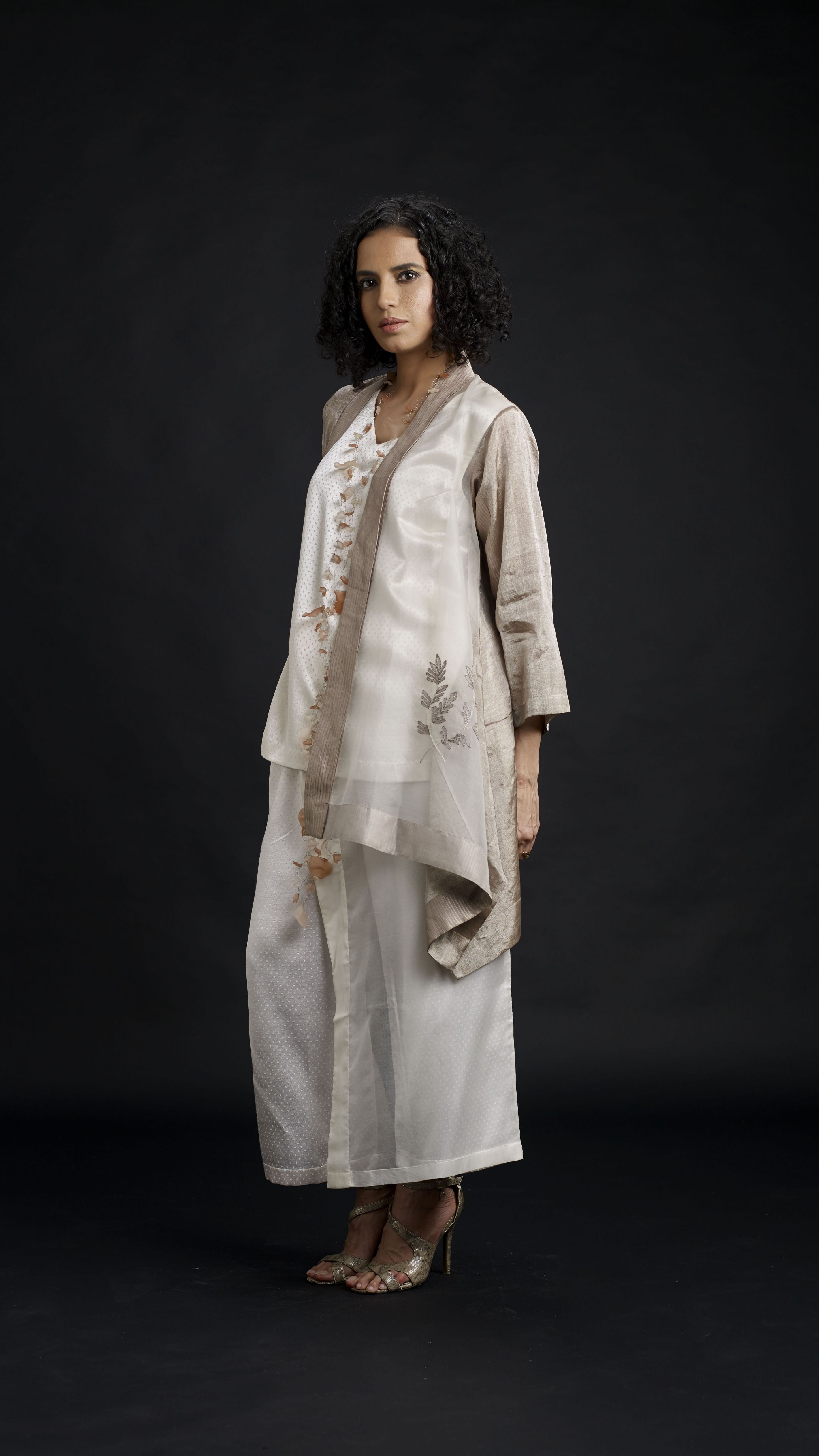 Zari And Mushru Jacket Set