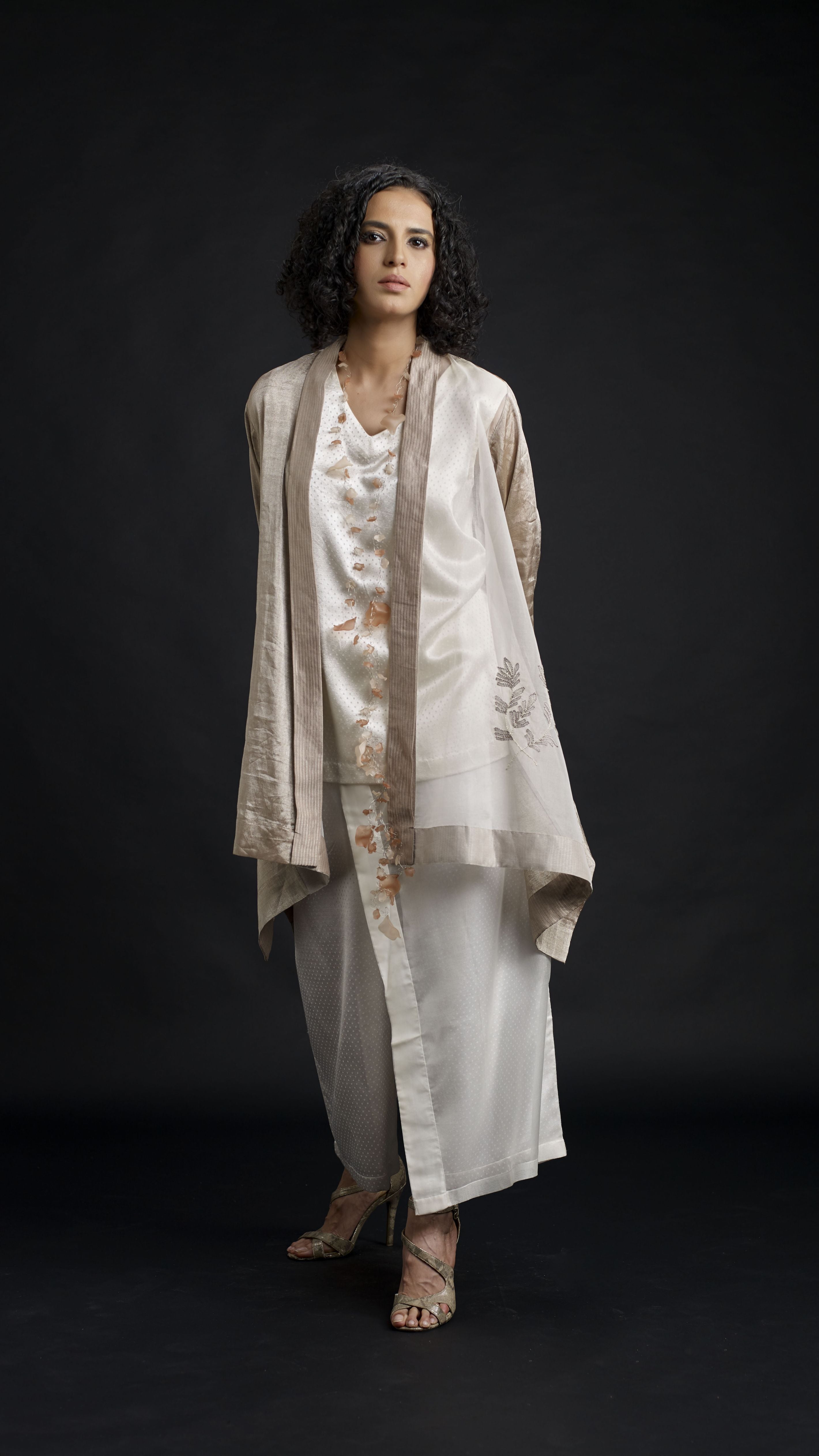 Zari And Mushru Jacket Set