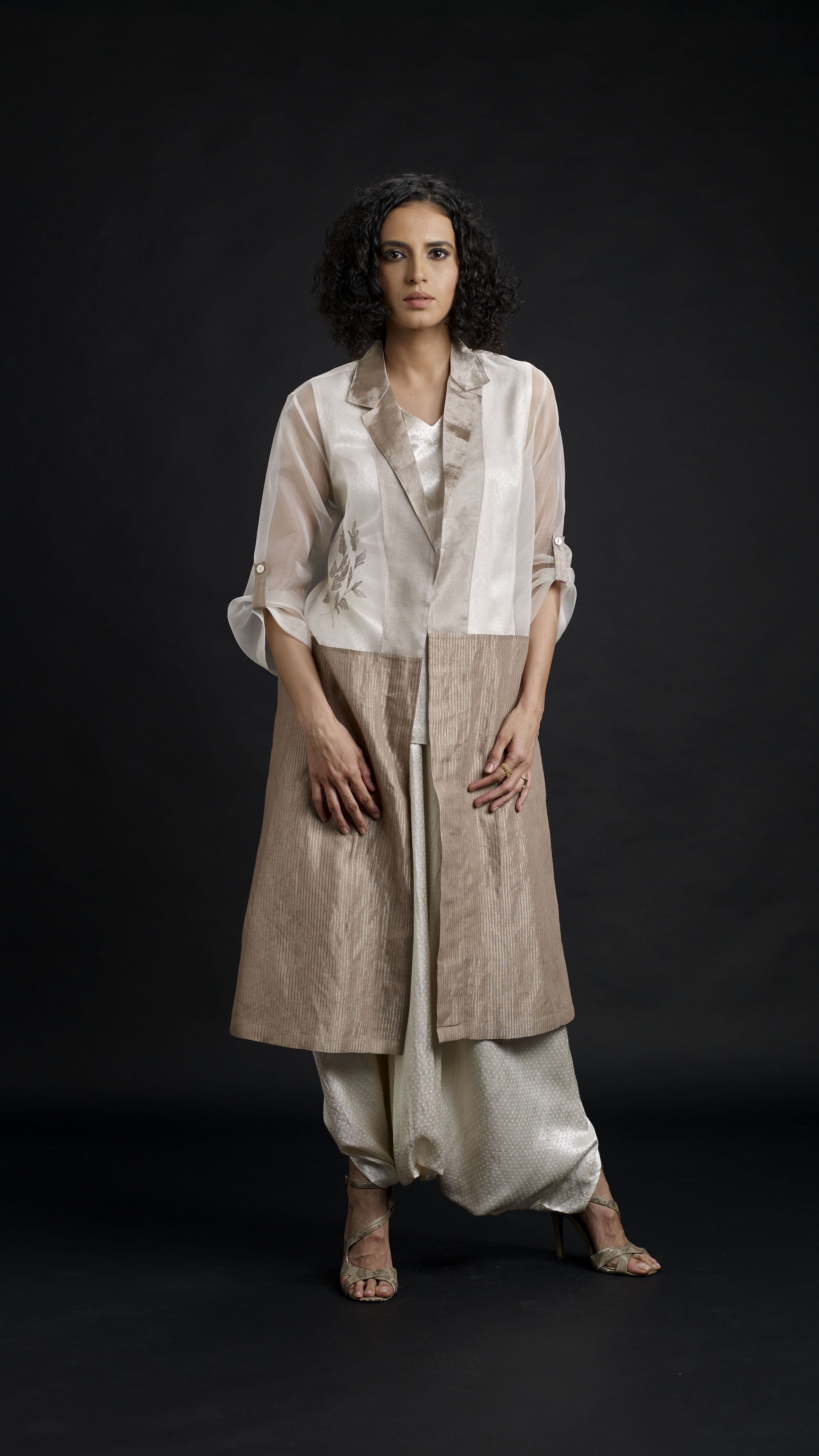 Zari And Mushru Jacket Set