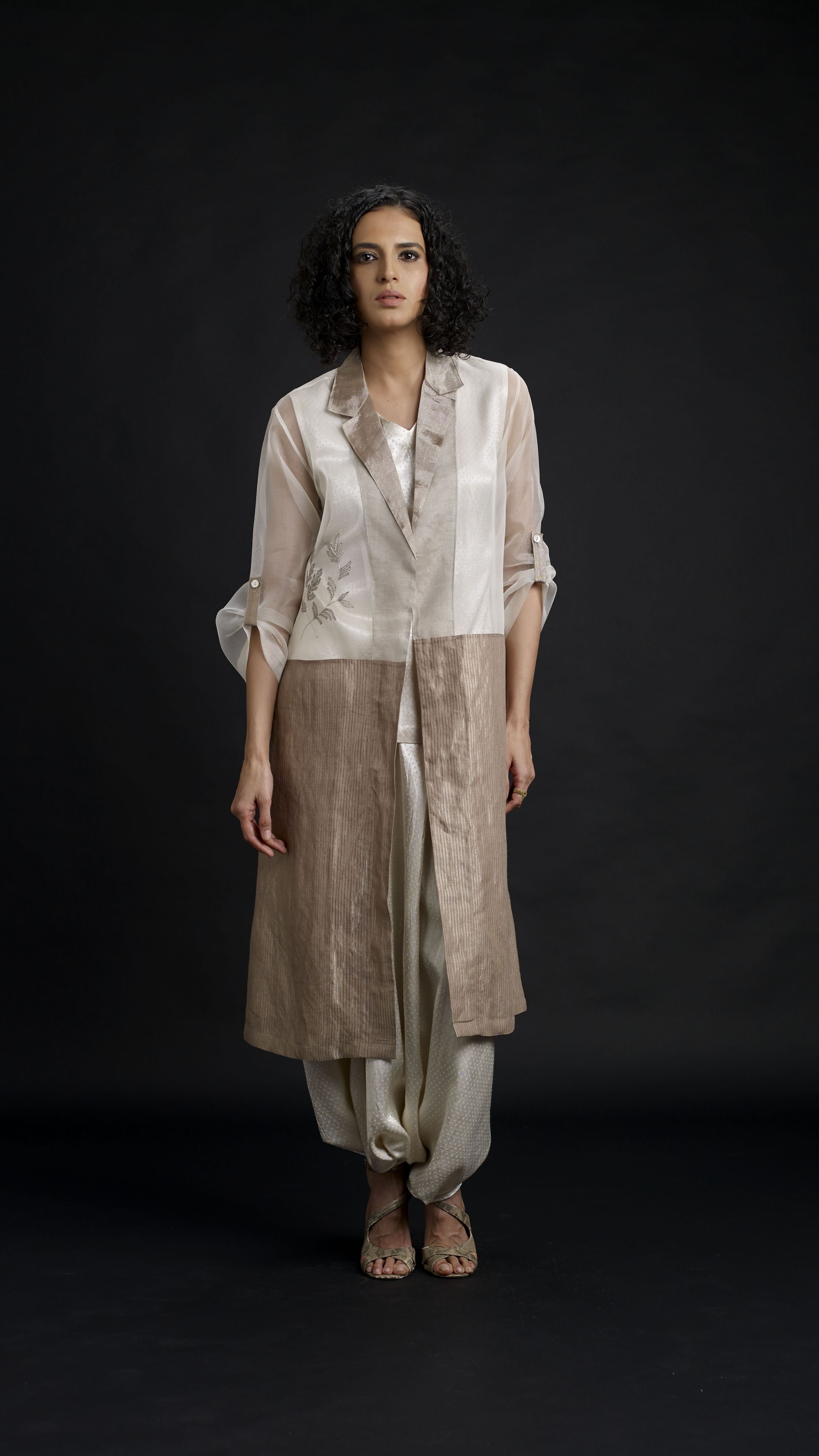 Zari And Mushru Jacket Set