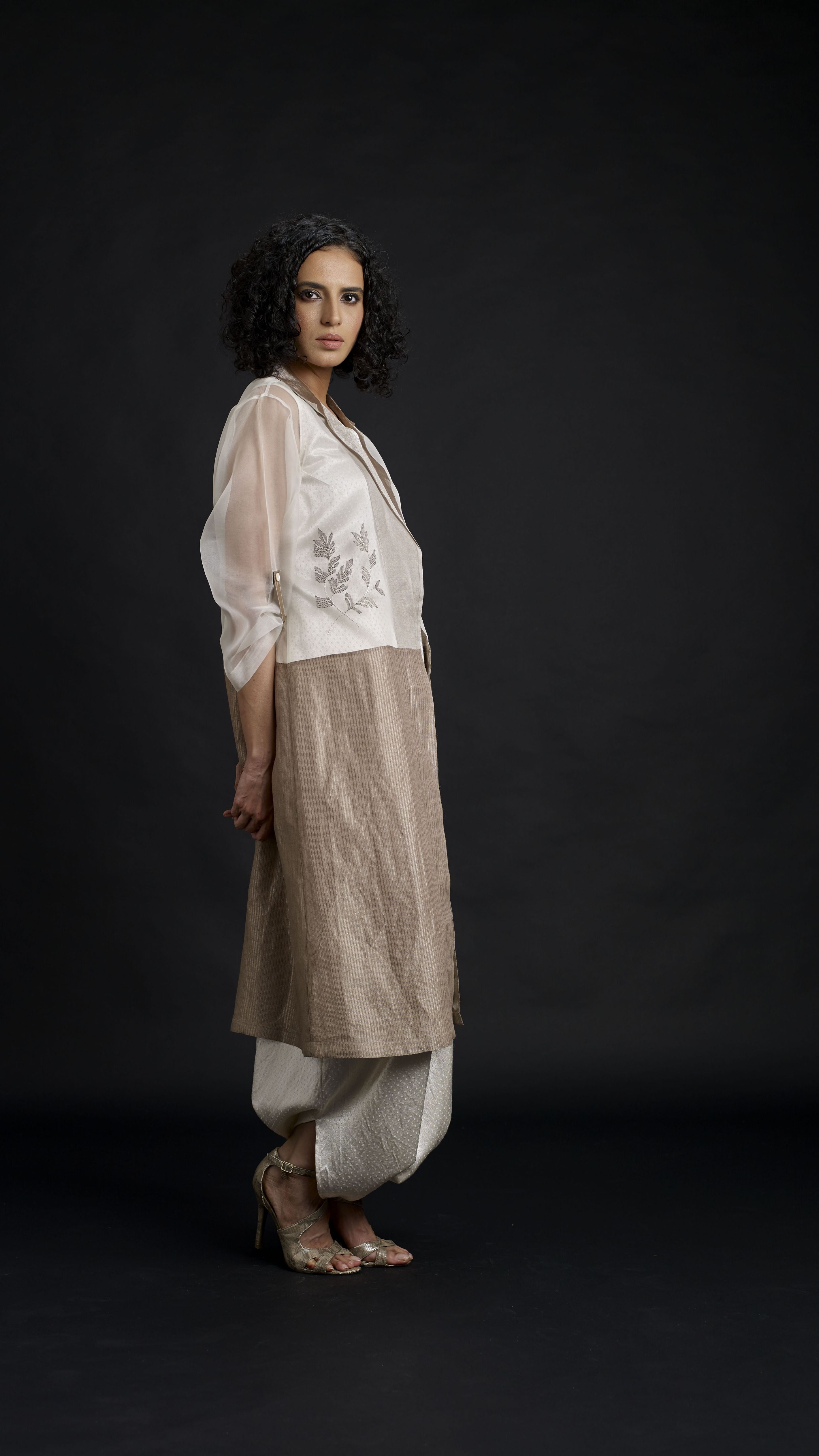 Zari And Mushru Jacket Set