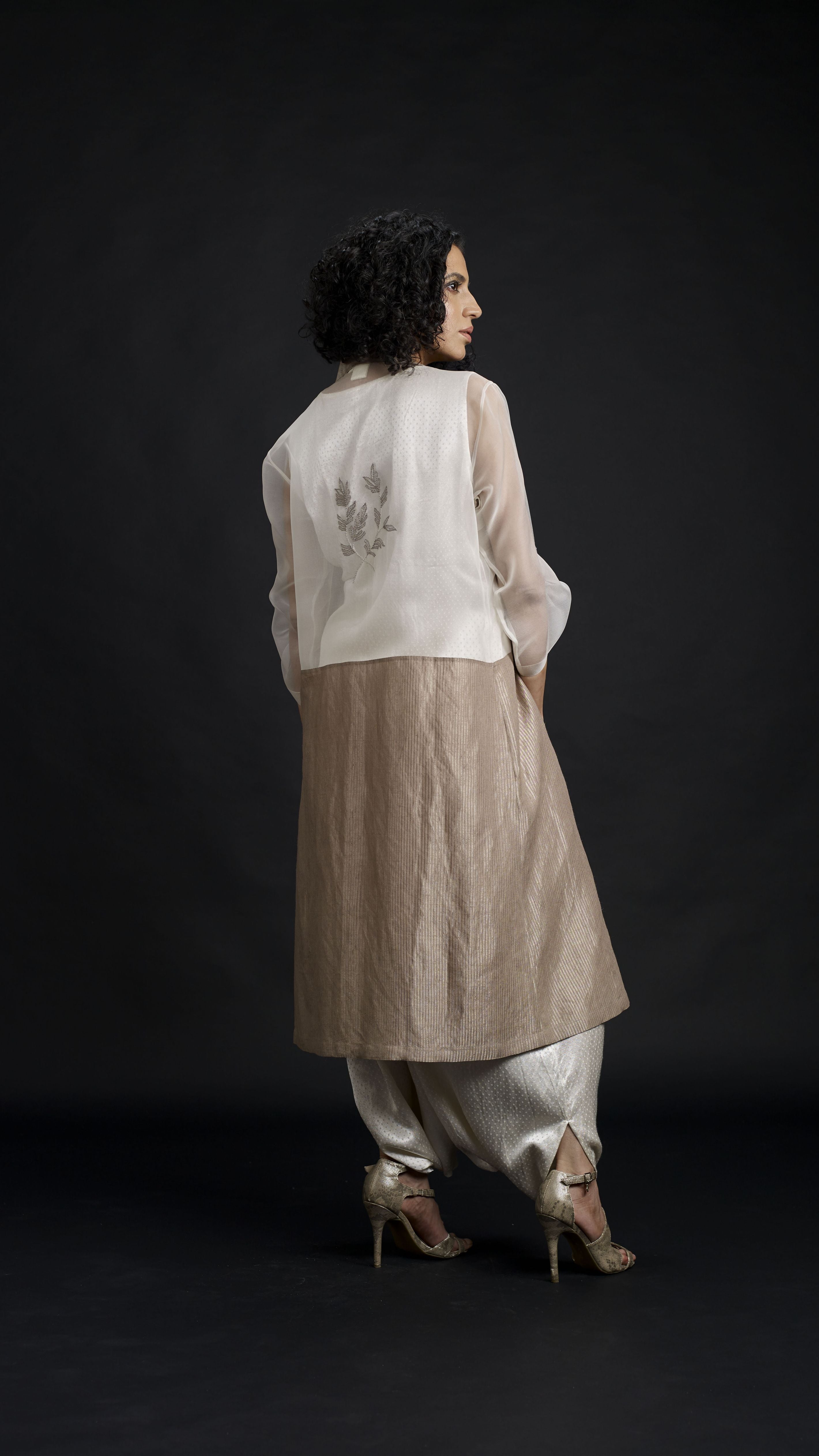 Zari And Mushru Jacket Set